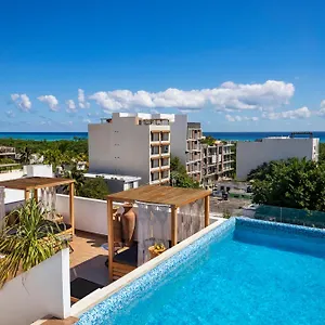 https://terrasse-hotel-playa-del-carmen.allrivieramayahotels.com